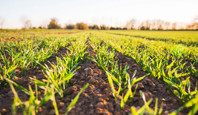 alt="Power Sprayer for Hose used in agriculture fields for uniform spraying of fertilizers, herbicides, and pesticides"