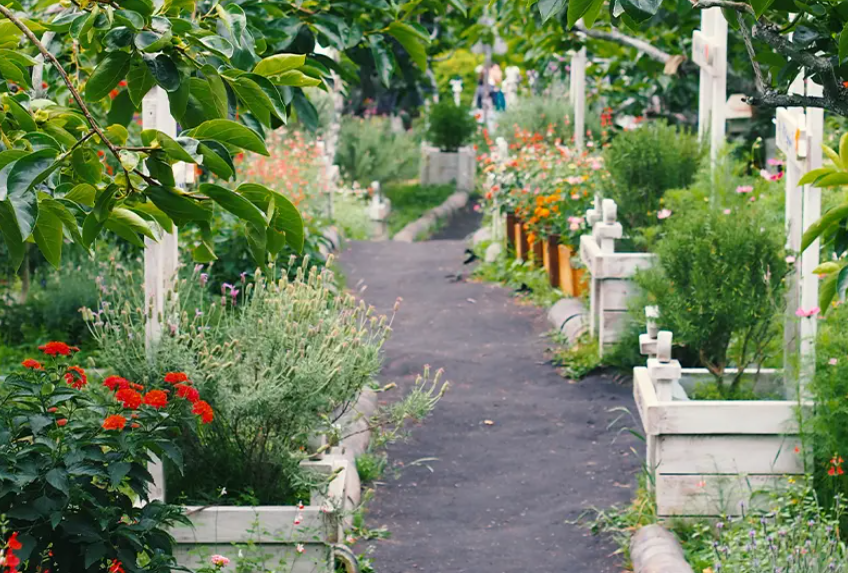 alt：High pressure hand pump sprayer used in agriculture for uniform pesticide and fertilizer application across crop fields