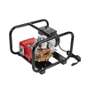 Piston Plunger Portable Power Sprayer For Home and Agricultural Use TF-22C4/120A