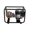 Piston Plunger Portable Power Sprayer For Home and Agricultural Use TF-22C4/168F
