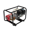 Piston Plunger Portable Power Sprayer For Home and Agricultural Use TF-22C4/168F