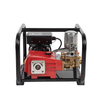 Piston Plunger Portable Power Sprayer For Home and Agricultural Use TF-22C4/120A