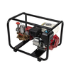 Piston Plunger Portable Power Sprayer For Home and Agricultural Use TF-22C4/168F